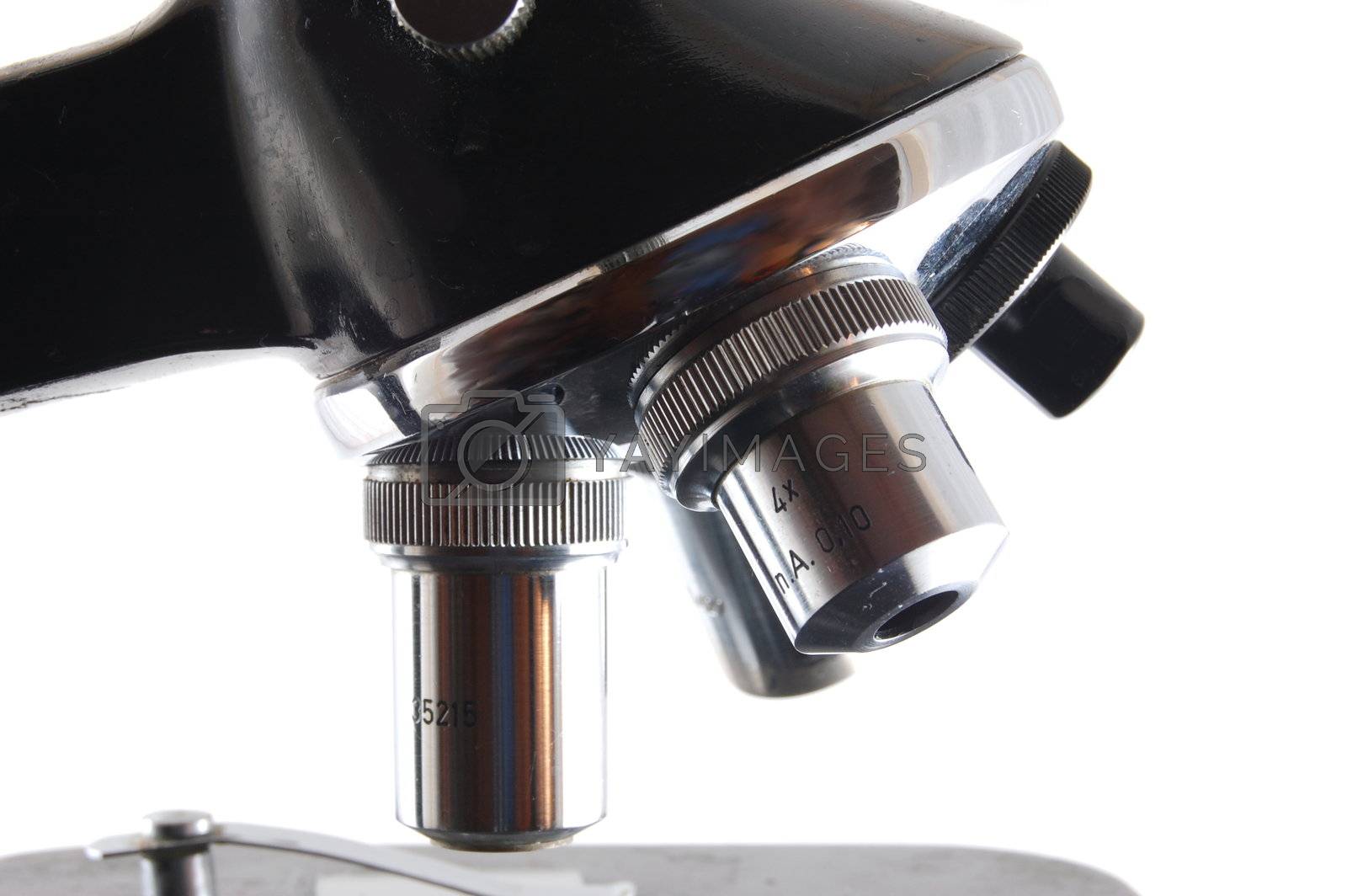 Royalty free image of Microscope by gunnar3000