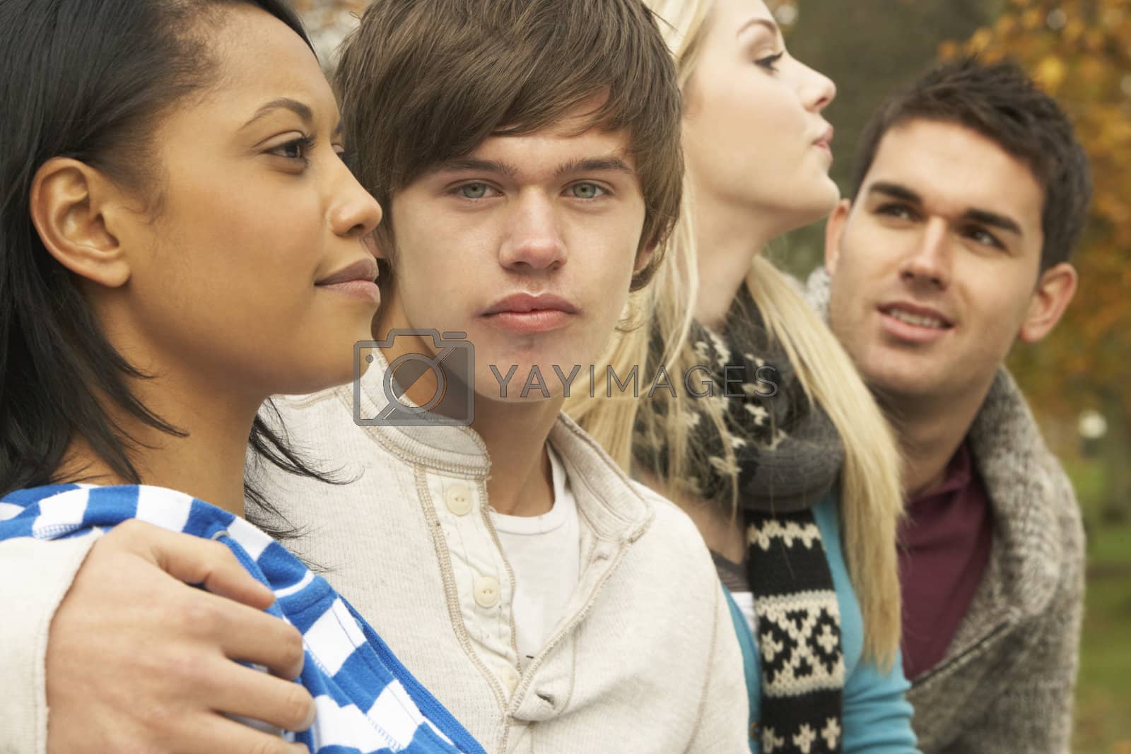 Royalty free image of Close Up Of Group Of Four Teenage Friends In Autumn Woodland by omg_images