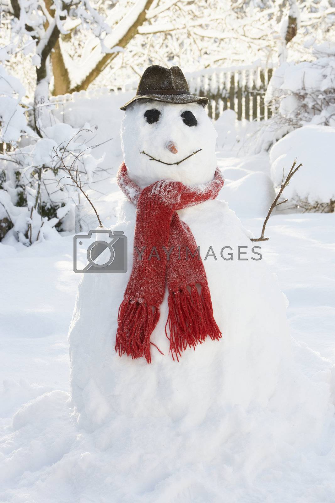 Royalty free image of Snowman In Garden by omg_images