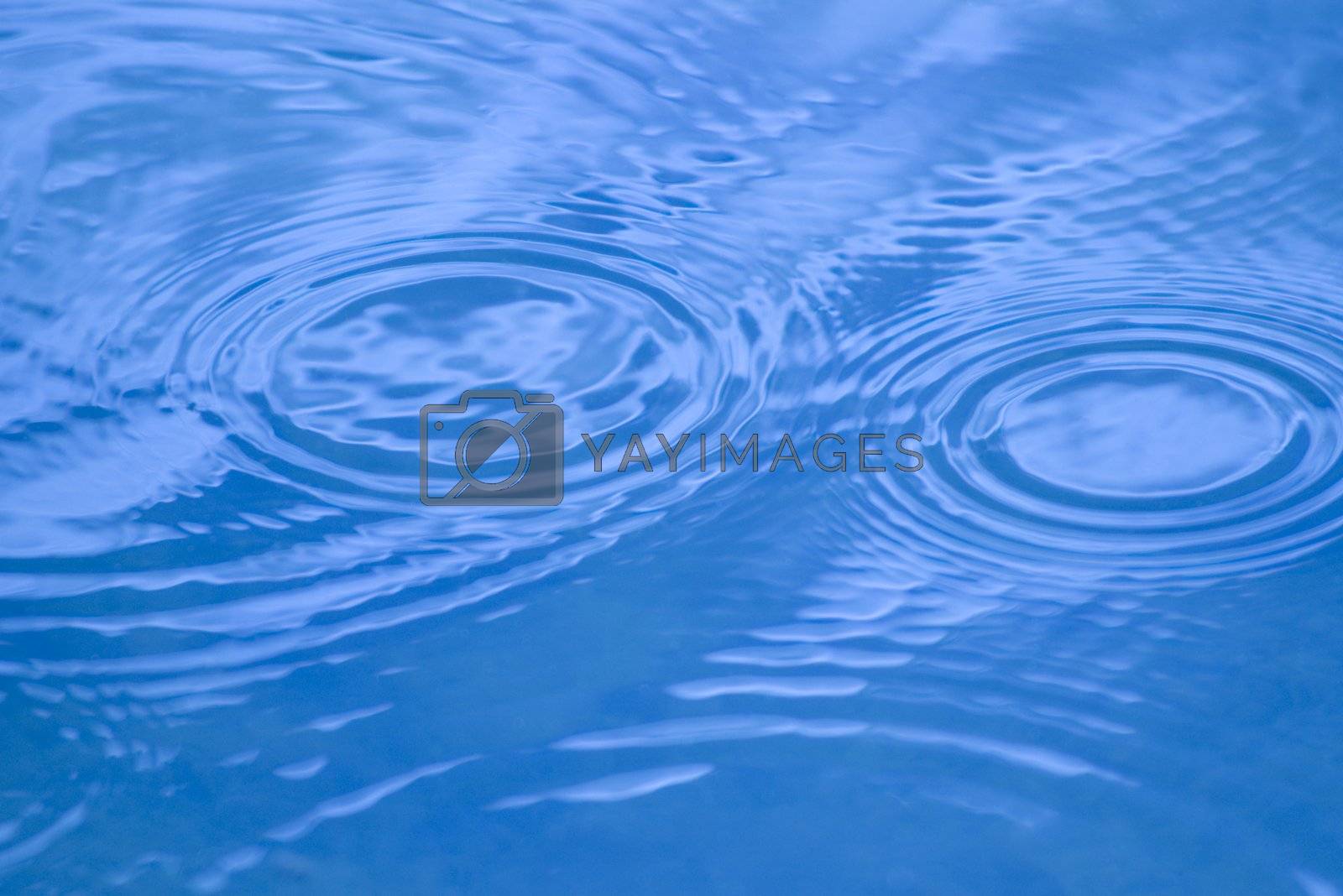 Royalty free image of Water Circles by monilu