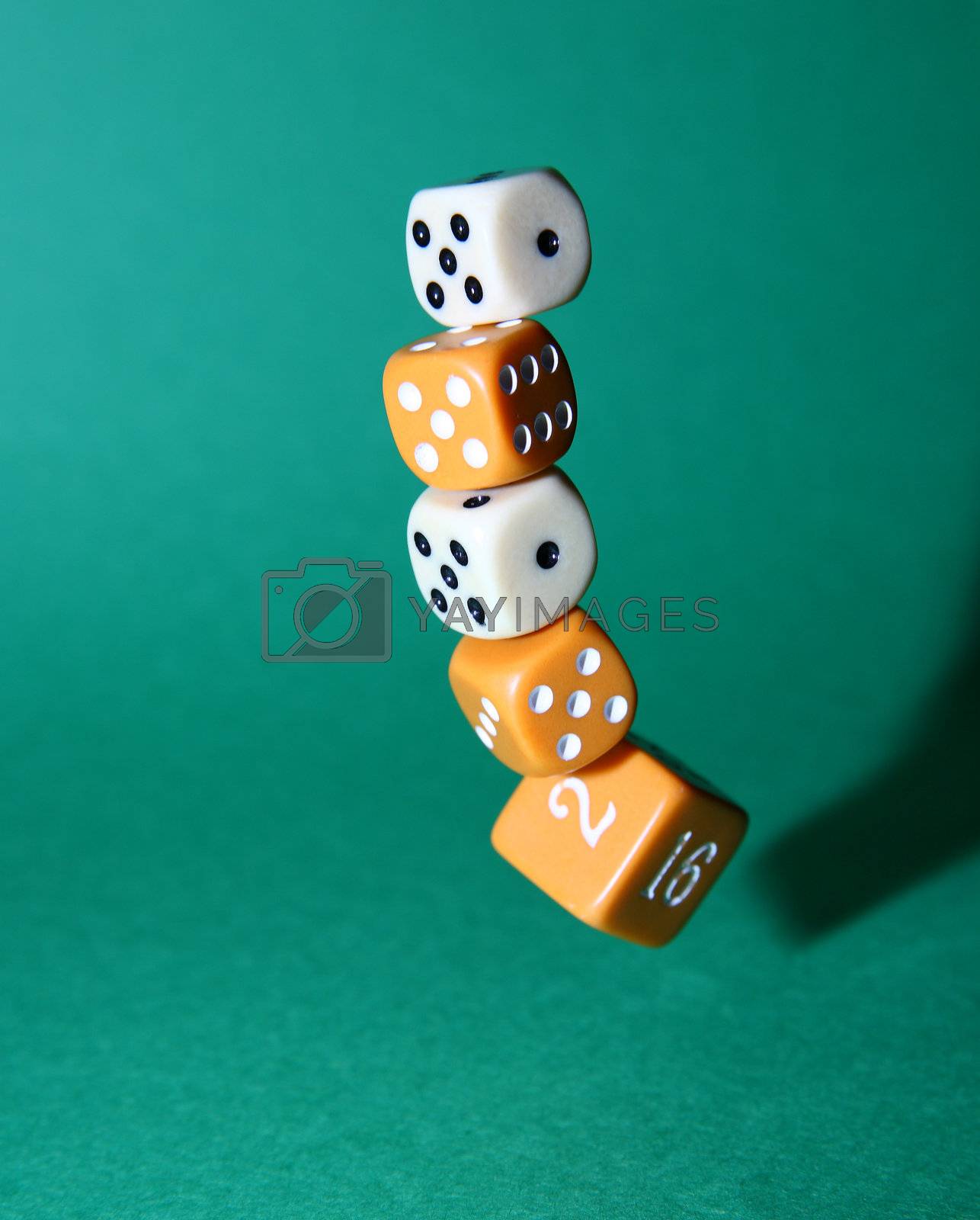 Royalty free image of Dropping Dice by dnfphoto