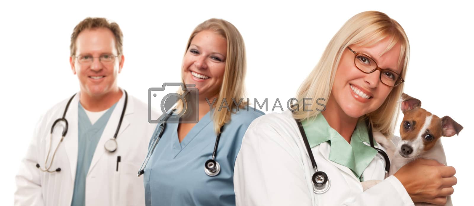 Royalty free image of Female Veterinarian Doctors with Small Puppy by Feverpitched