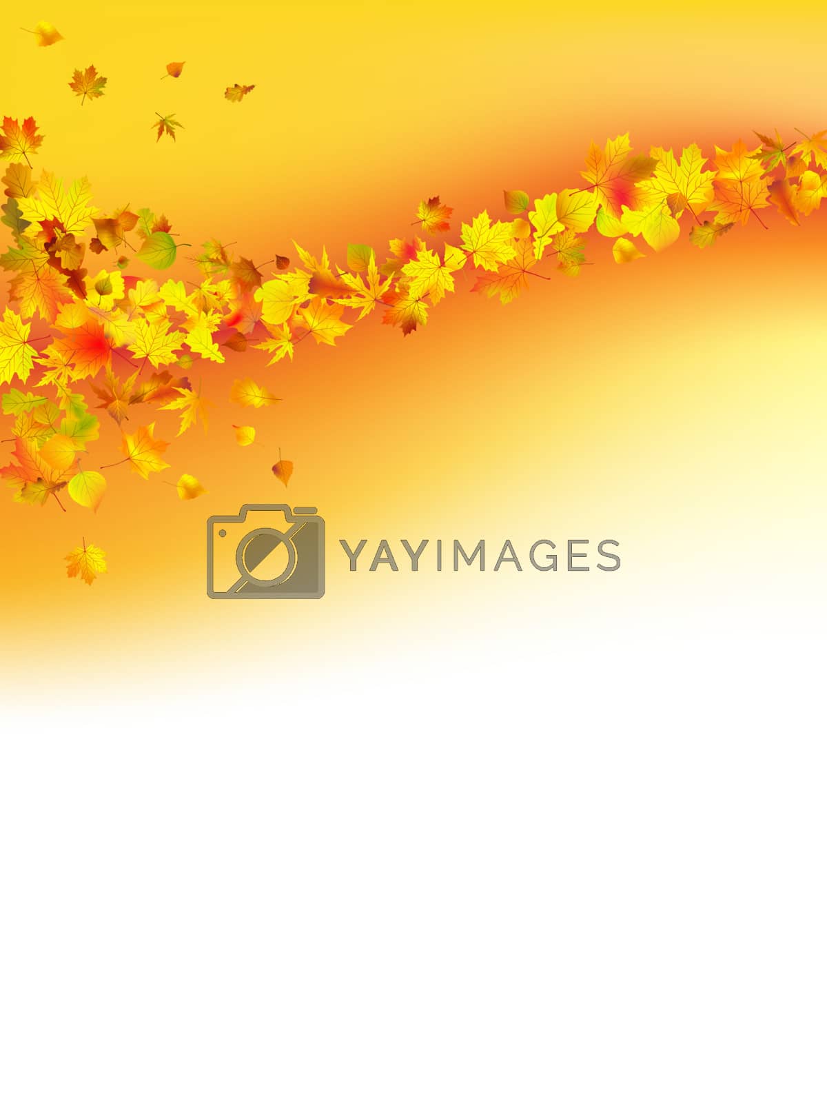 Royalty free image of Autumnal concept background by Petrov_Vladimir