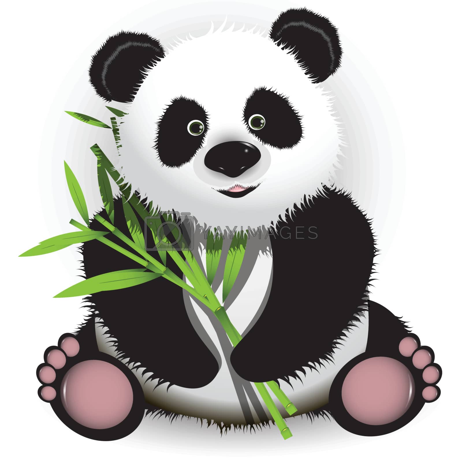 Royalty free image of Panda by brux