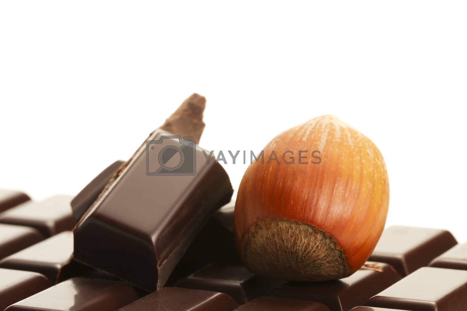 Royalty free image of hazelnut and chocolate pieces on a plain chocolate bar by RobStark