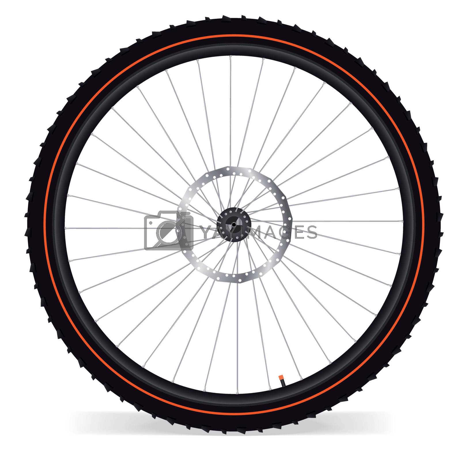 Royalty free image of Bike wheel by Diversphoto