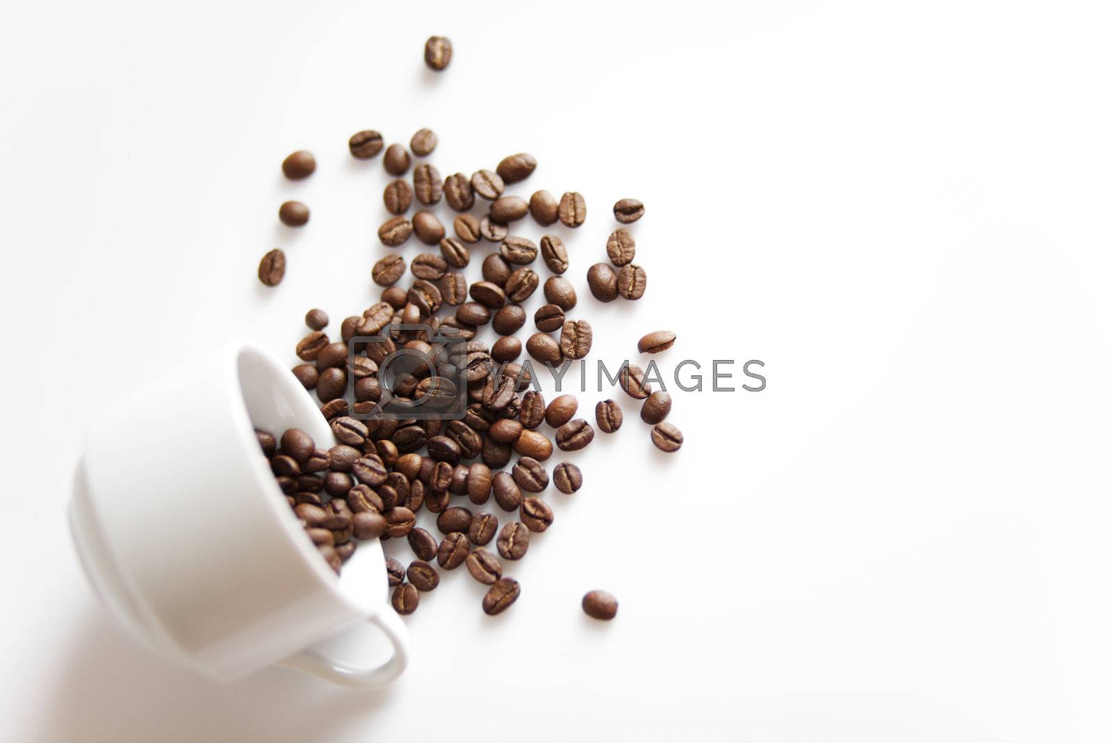 Royalty free image of Cup with sparse coffee beans by alenkasm