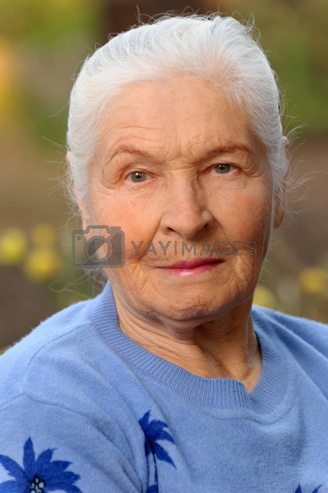 Royalty free image of Portrait of the elderly woman by galdzer