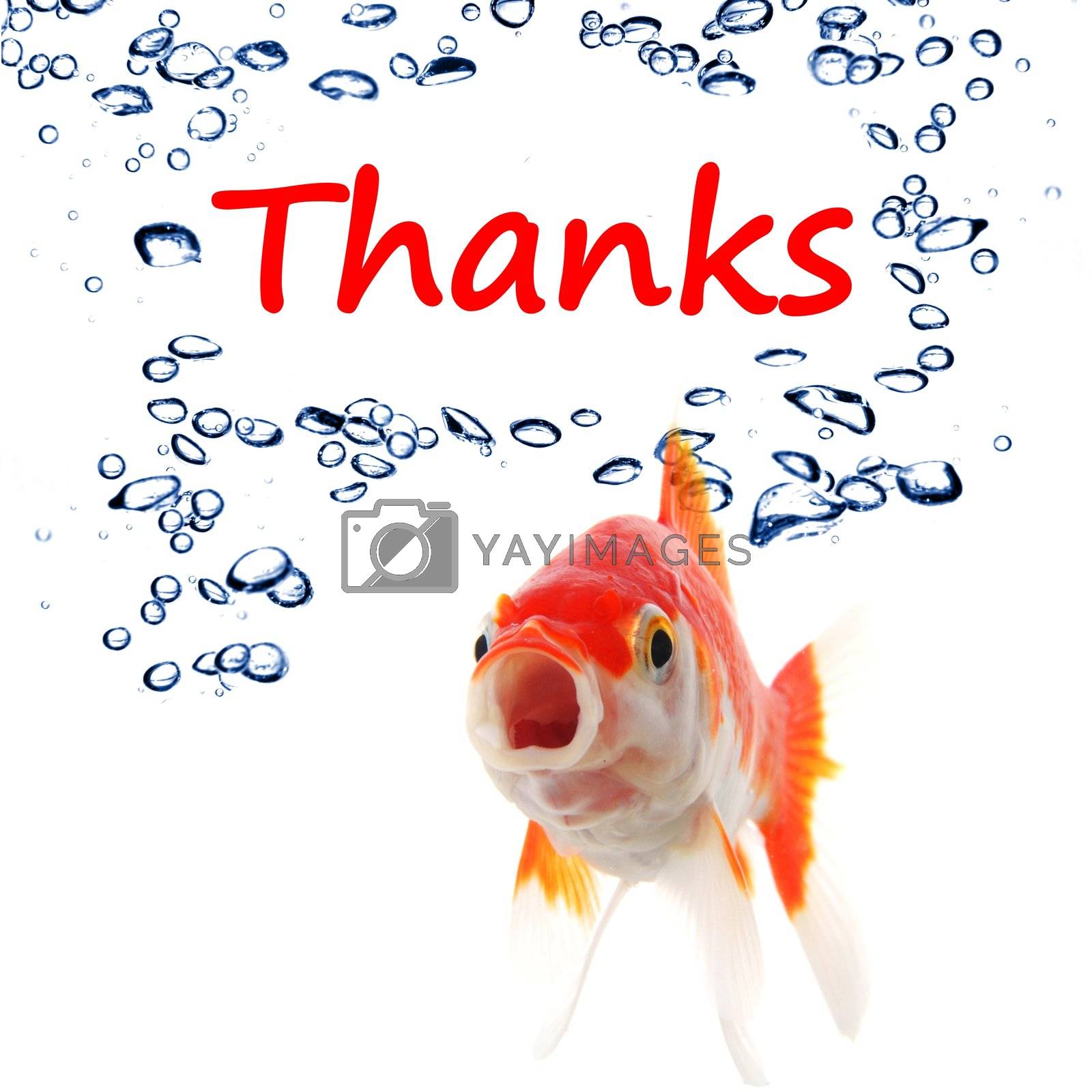Royalty free image of thanks by gunnar3000