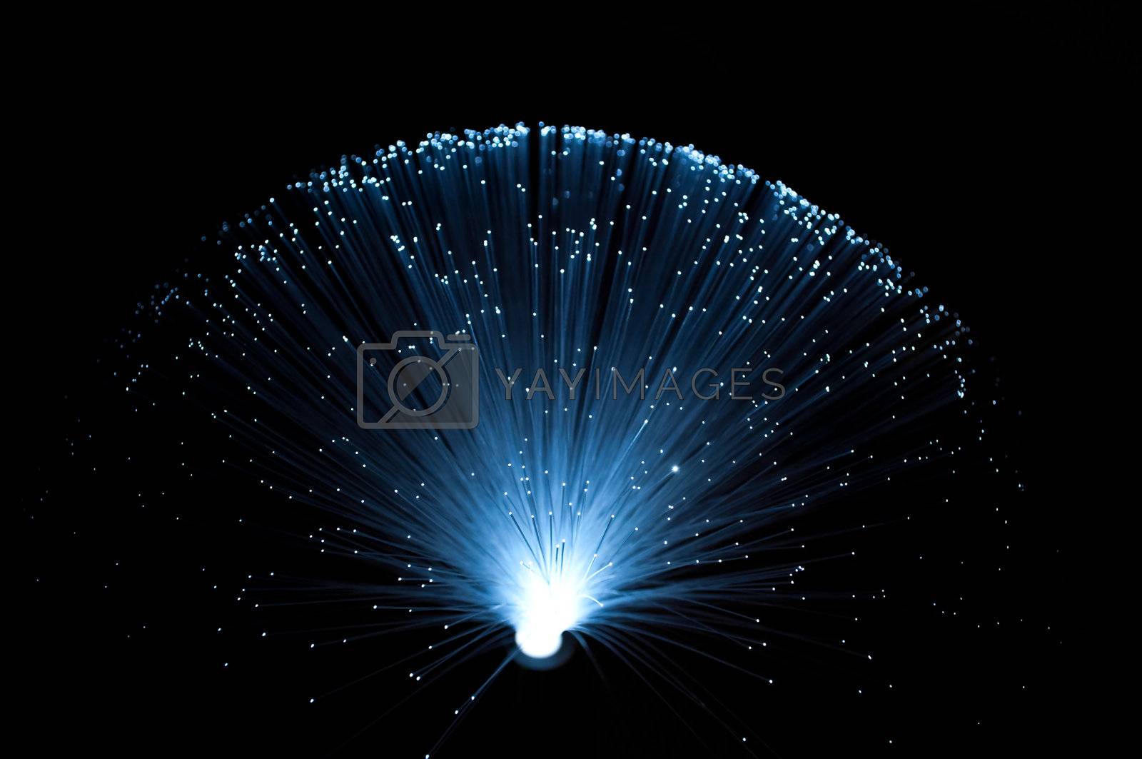 Royalty free image of Fibre optic blue by 72soul