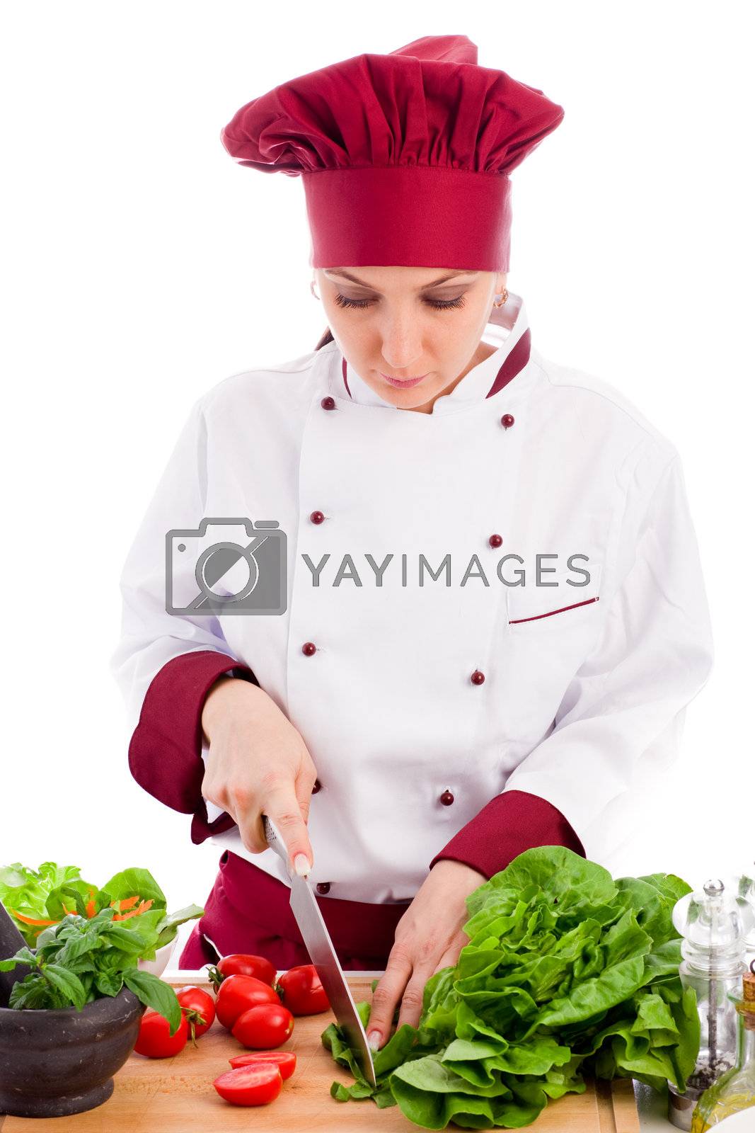 Royalty free image of Chef  by genious2000de