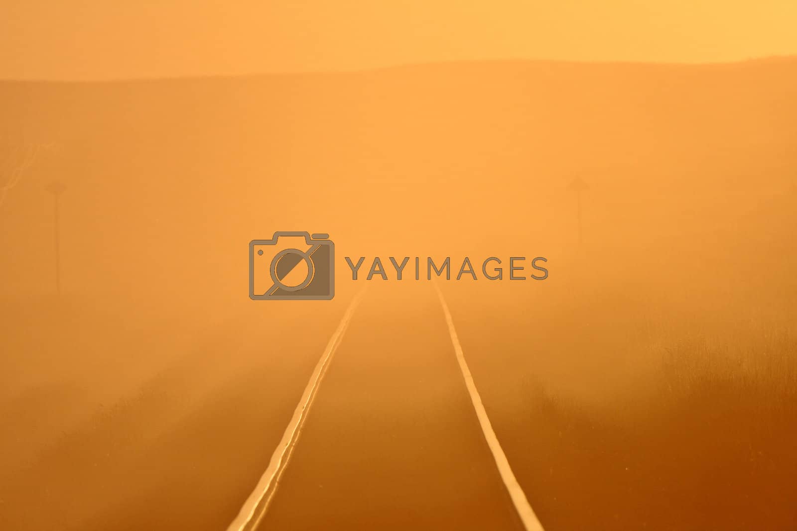 Royalty free image of Sun glare along railroad tracks by pictureguy