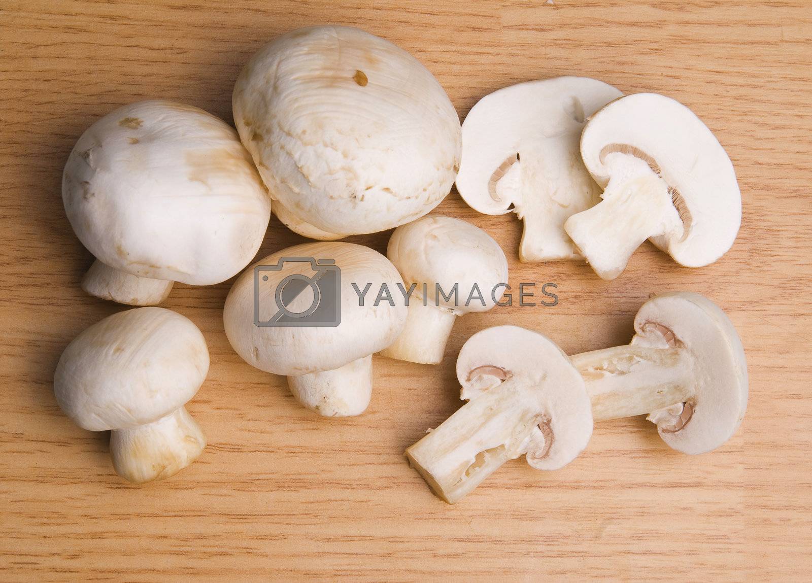 Royalty free image of Mushroom food by adamr
