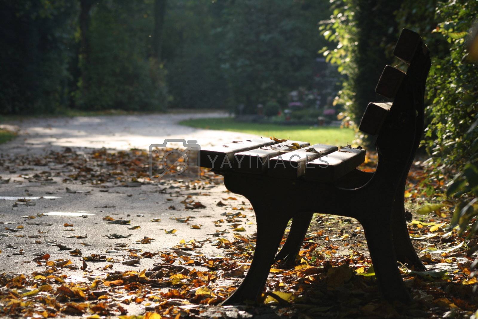 Royalty free image of Park bench by photochecker