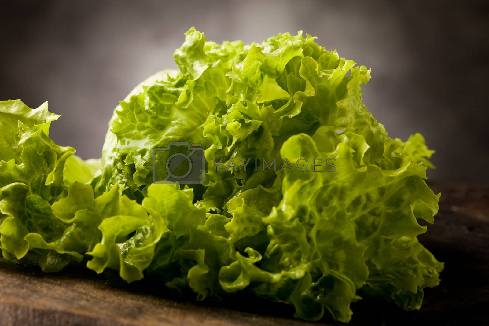 Royalty free image of Lettuce by genious2000de