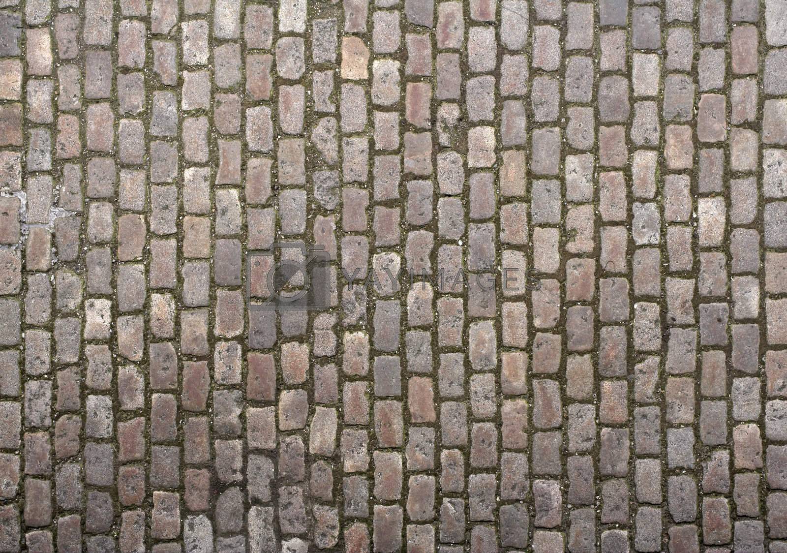 Royalty free image of Cobblestone texture by MikLav