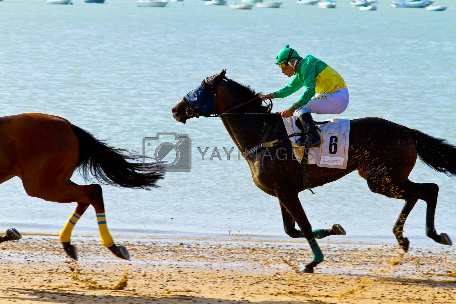 Royalty free image of Horse race on Sanlucar of Barrameda, Spain, August  2011 by viledevil