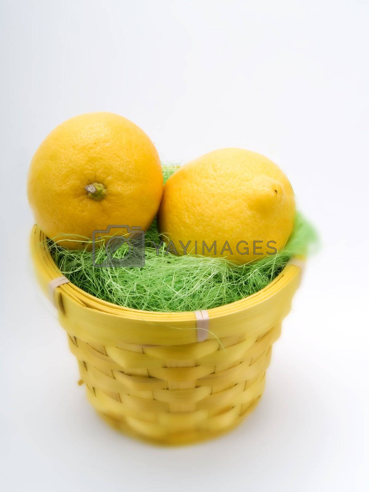 Royalty free image of Lemon by henrischmit