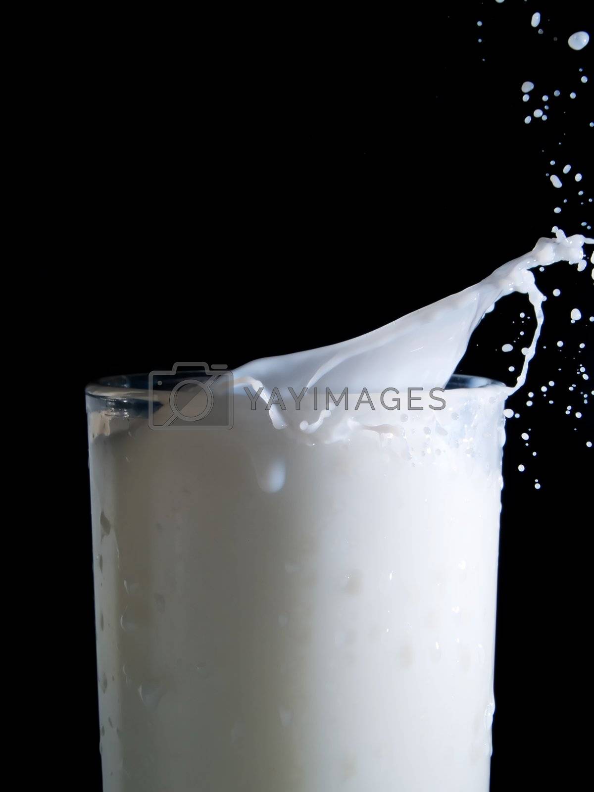 Royalty free image of Milk by henrischmit