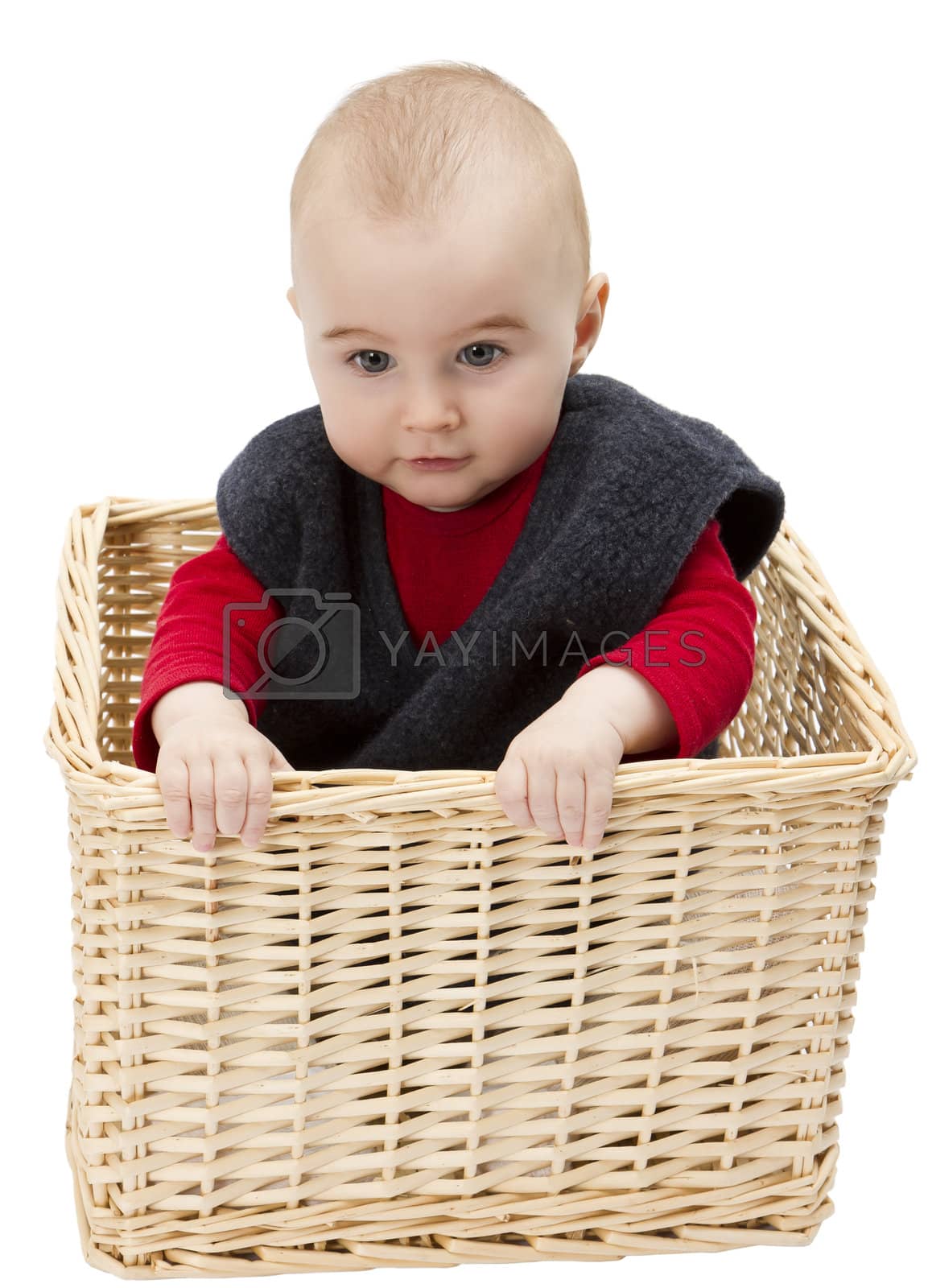 Royalty free image of toddler in wickerbasket by gewoldi