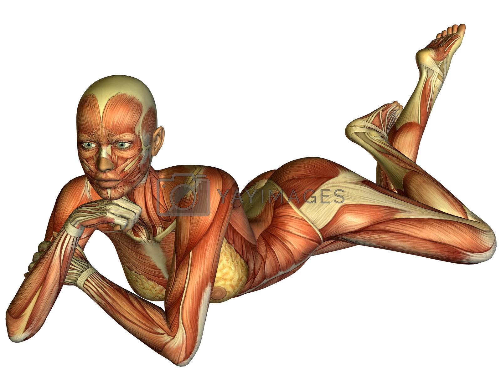 Royalty free image of Muscle woman lying by York