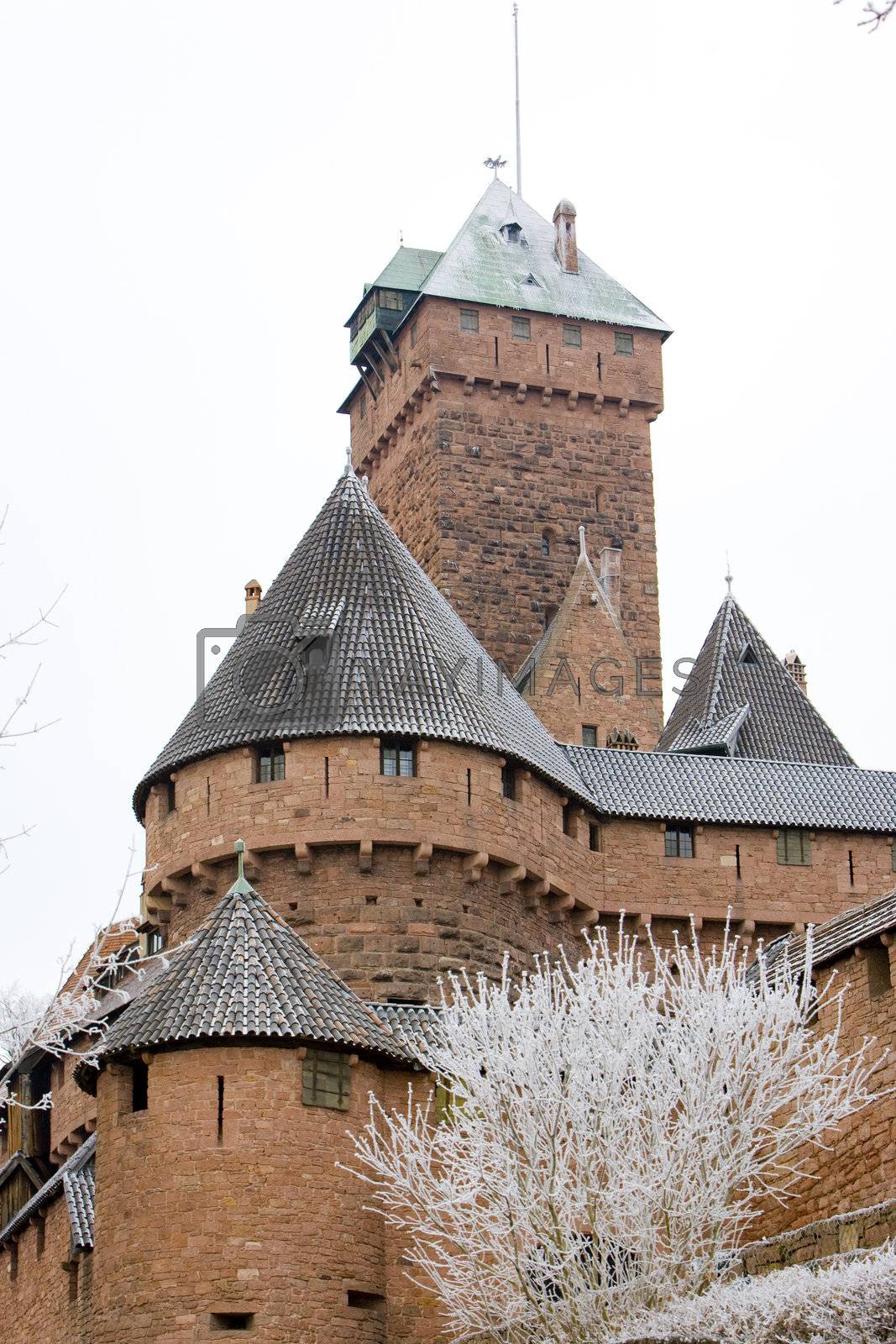 Royalty free image of Haut-Koenigsbourg Castle, Alsace, France by phbcz
