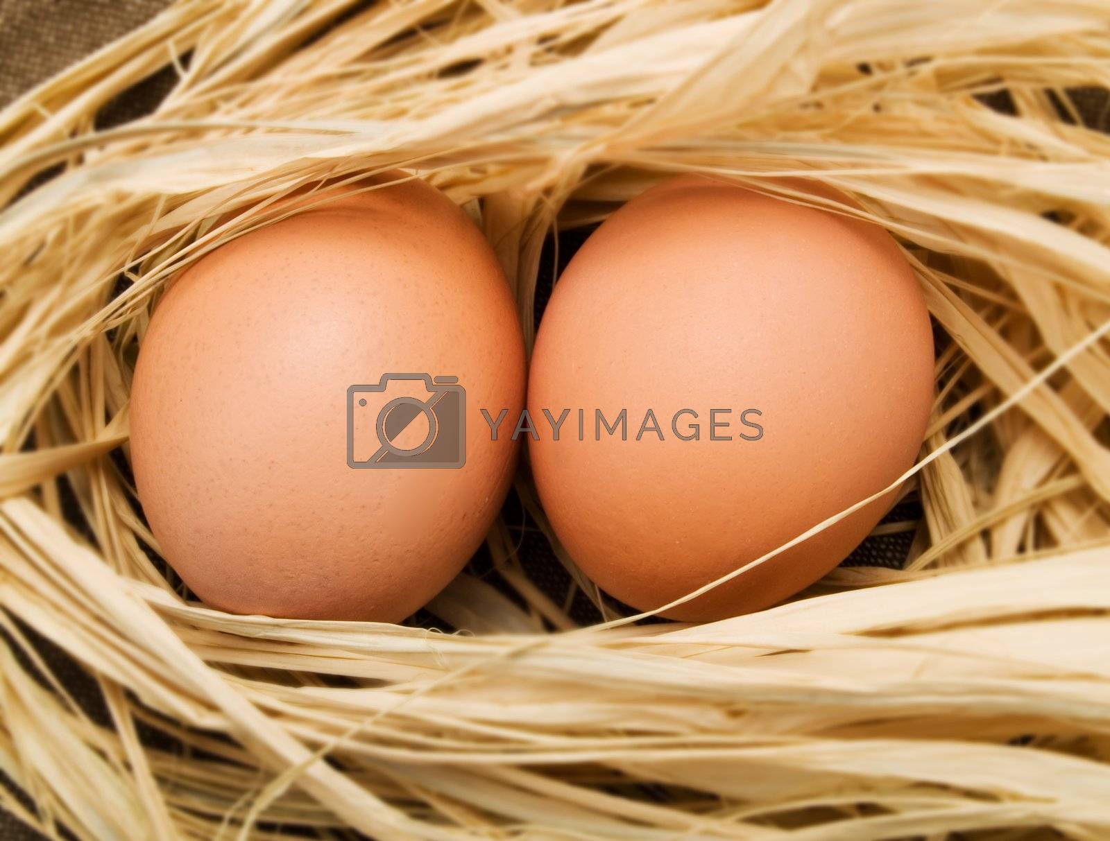 Royalty free image of Eggs by henrischmit