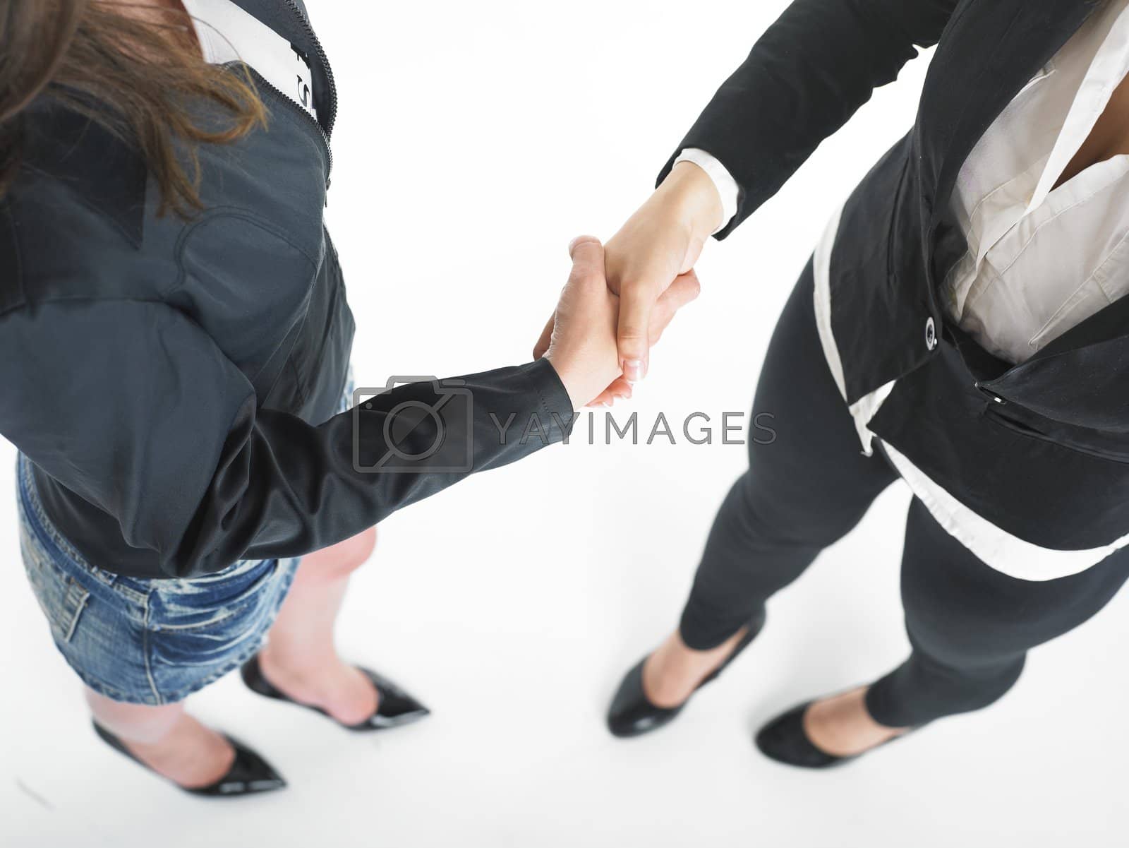 Royalty free image of Handshake Handshaking of two business woman by adamr