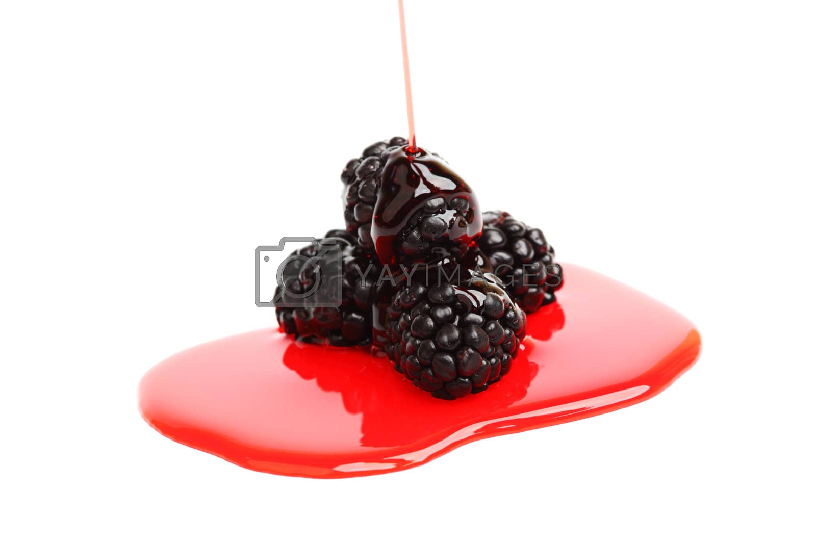 Royalty free image of blackberry pile in syrup by Yellowj