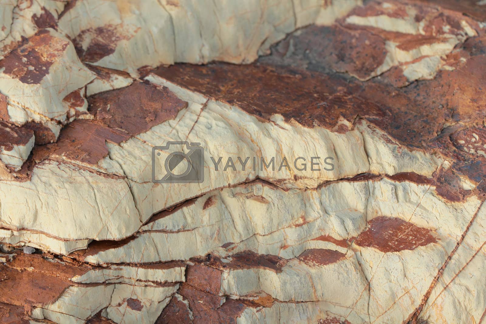 Royalty free image of Background of Rock by olovedog