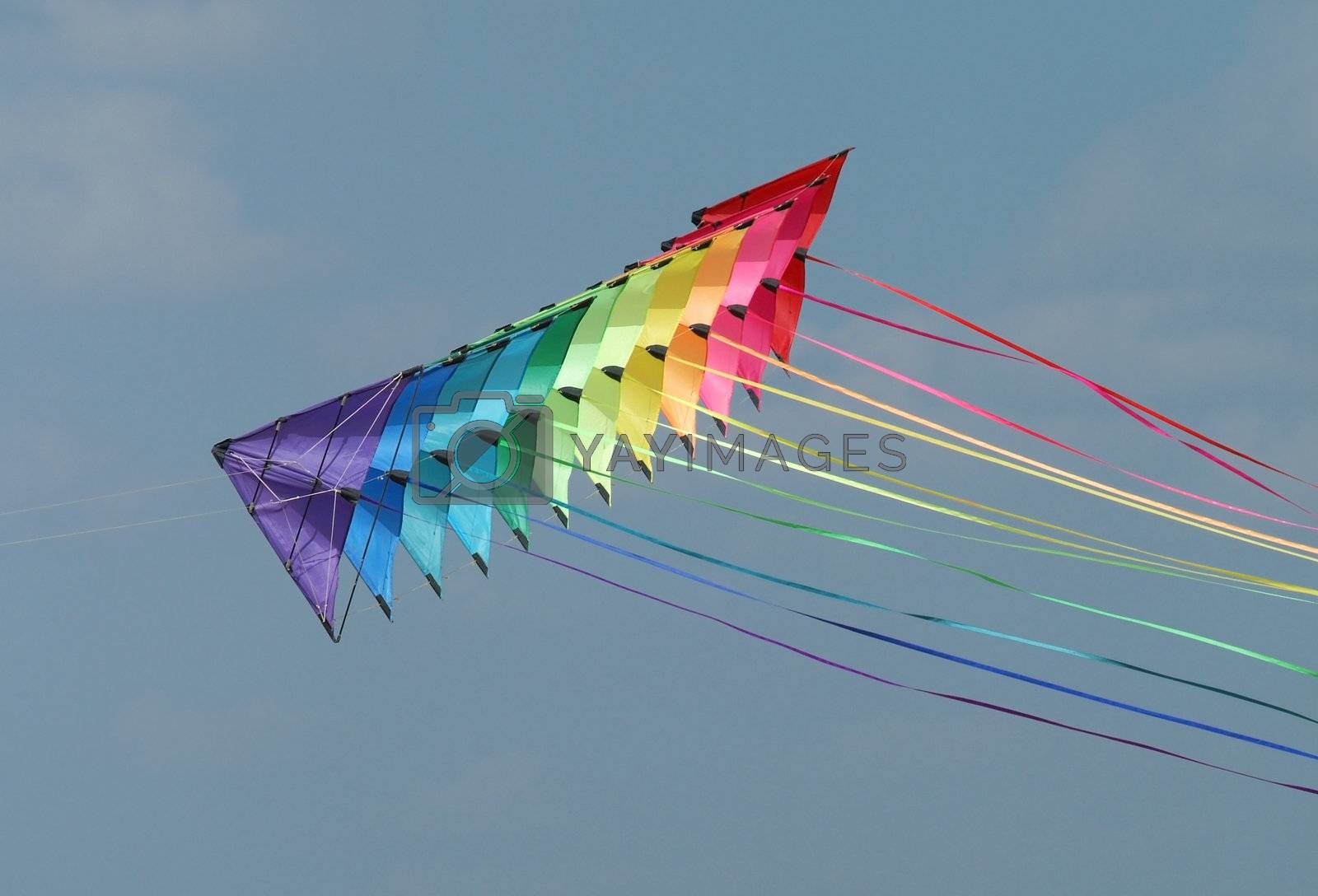 Royalty free image of Colourful kites by epixx