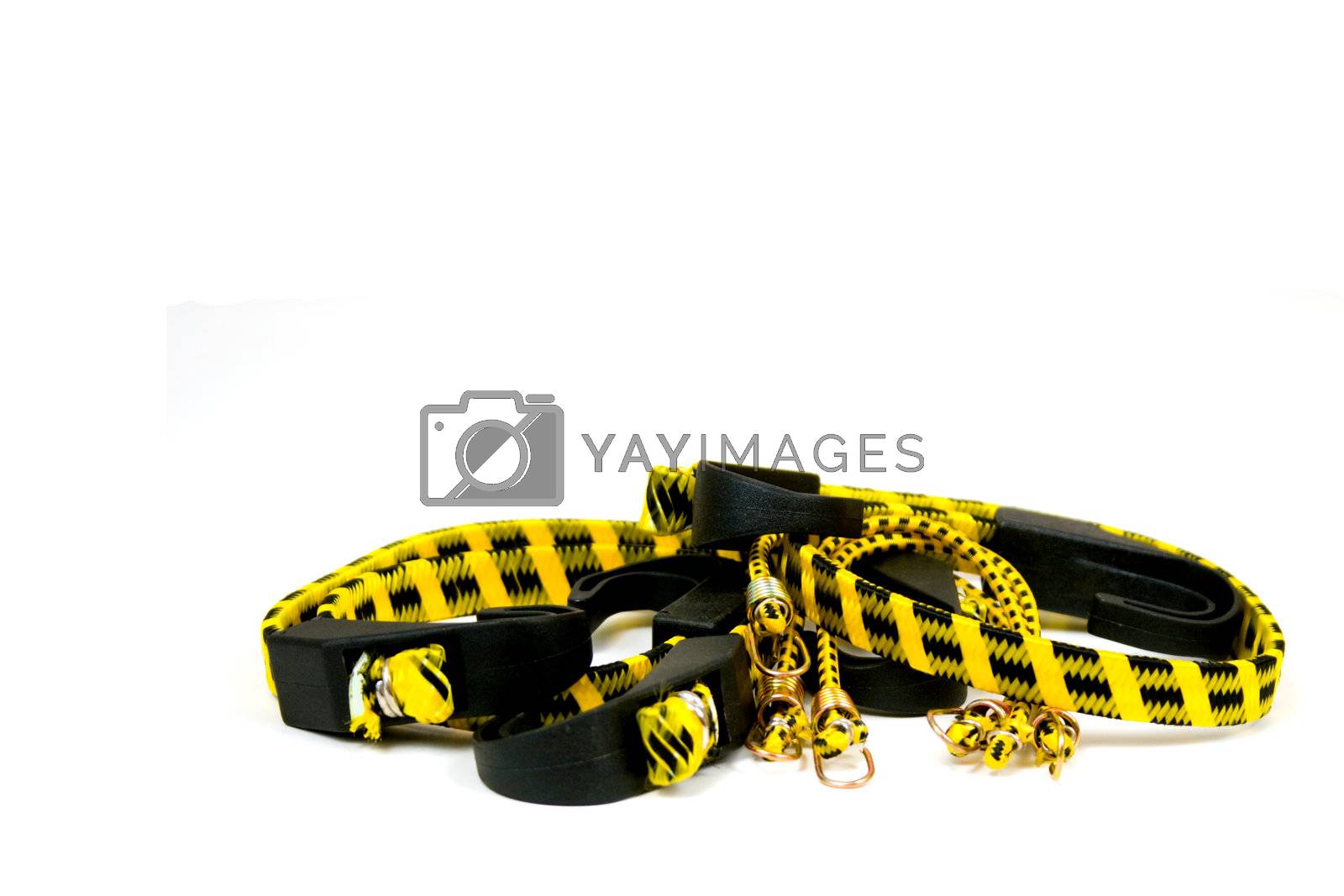 Royalty free image of Isolated Bungee Cords by mwp1969