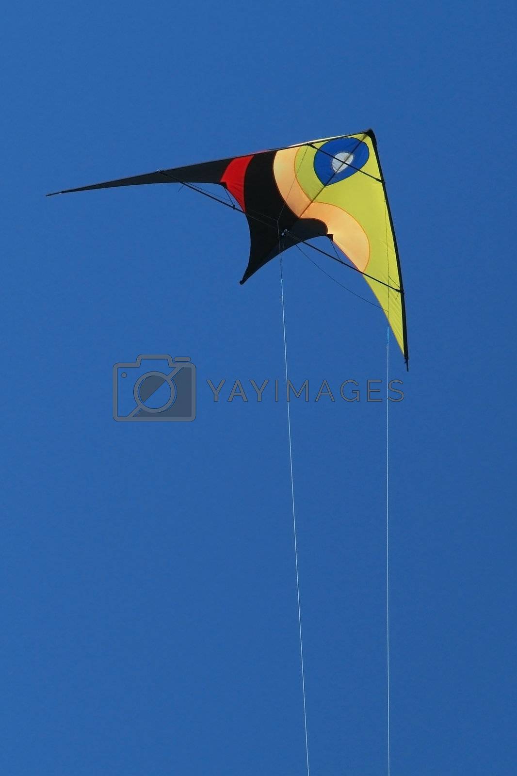 Royalty free image of Stunt-kite flying by epixx