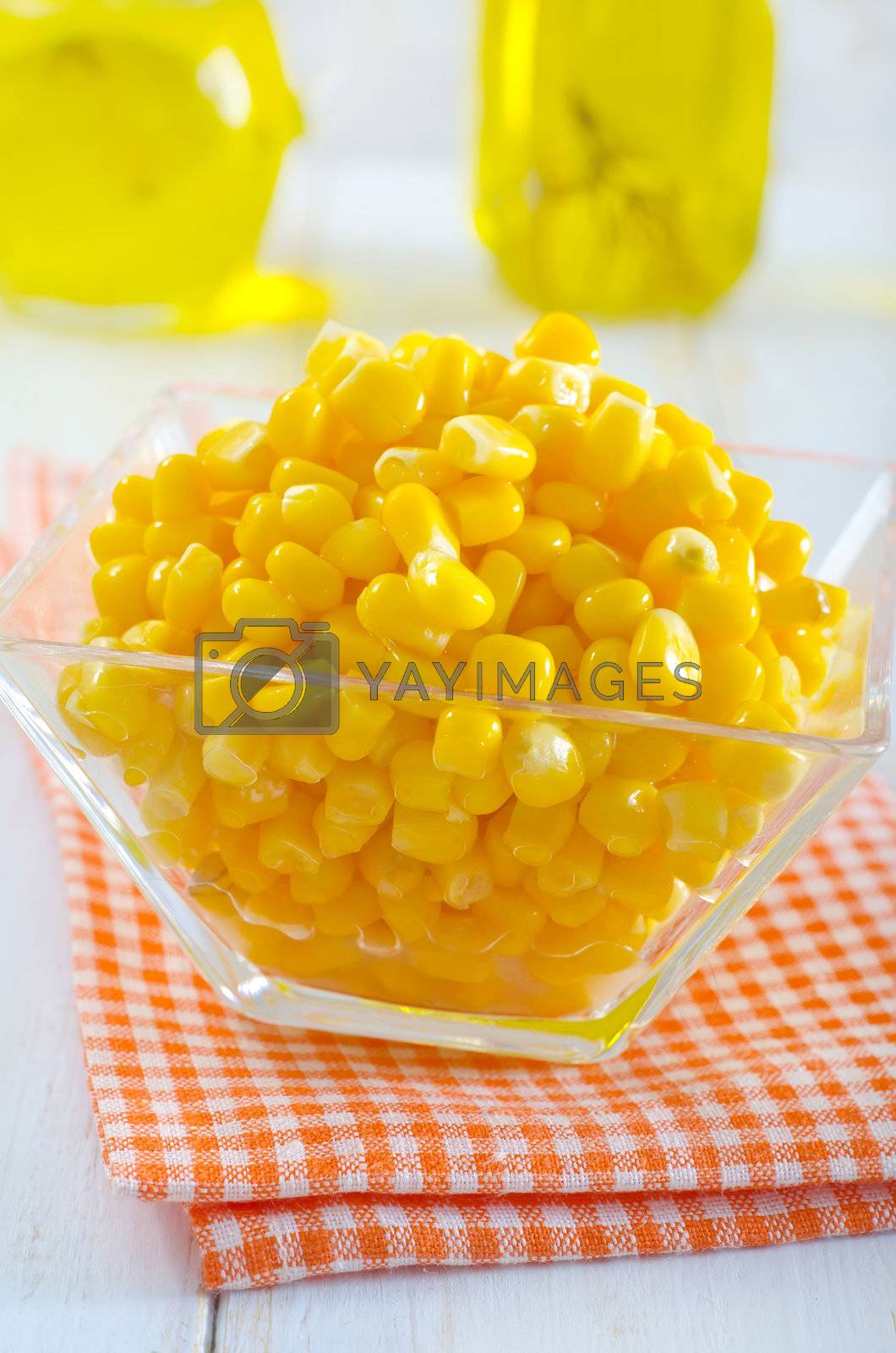 Royalty free image of sweet corn for salad by tycoon