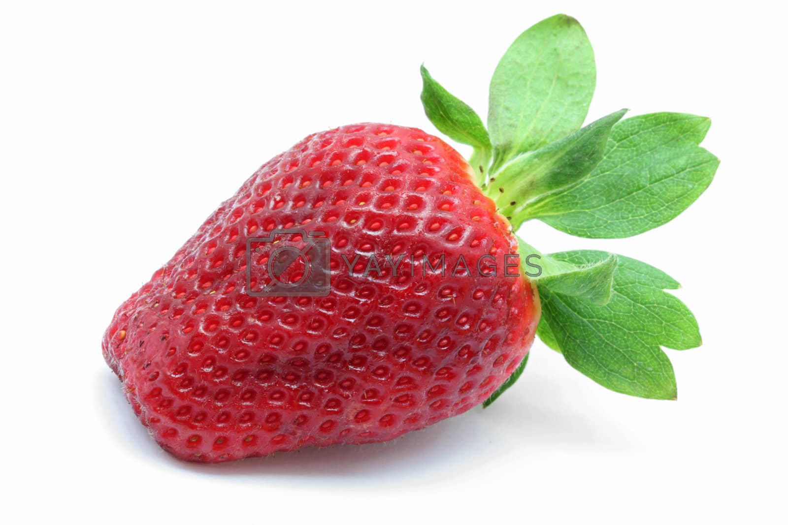 Royalty free image of Strawberry by vichie81