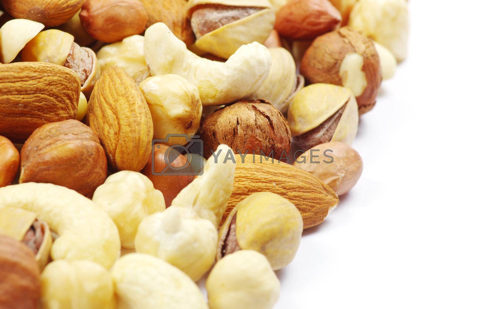 Royalty free image of nuts  by Pakhnyushchyy