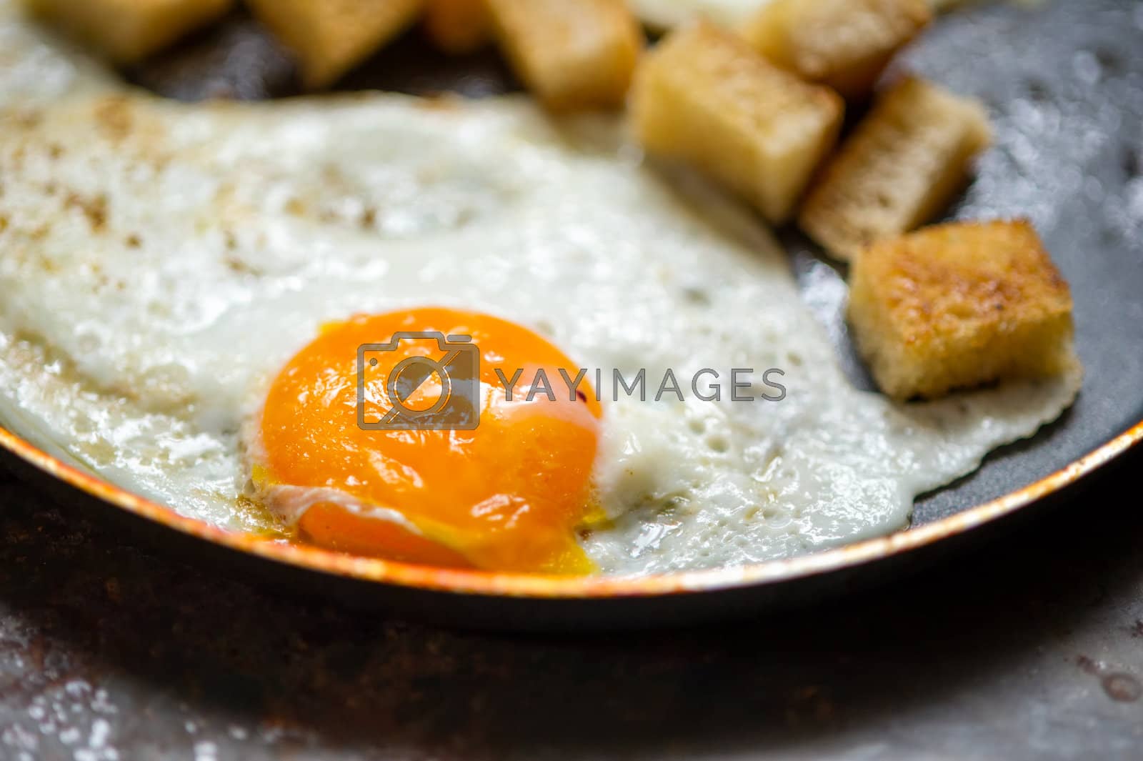 Royalty free image of Scramble eggs with small toasted bread by kirs-ua