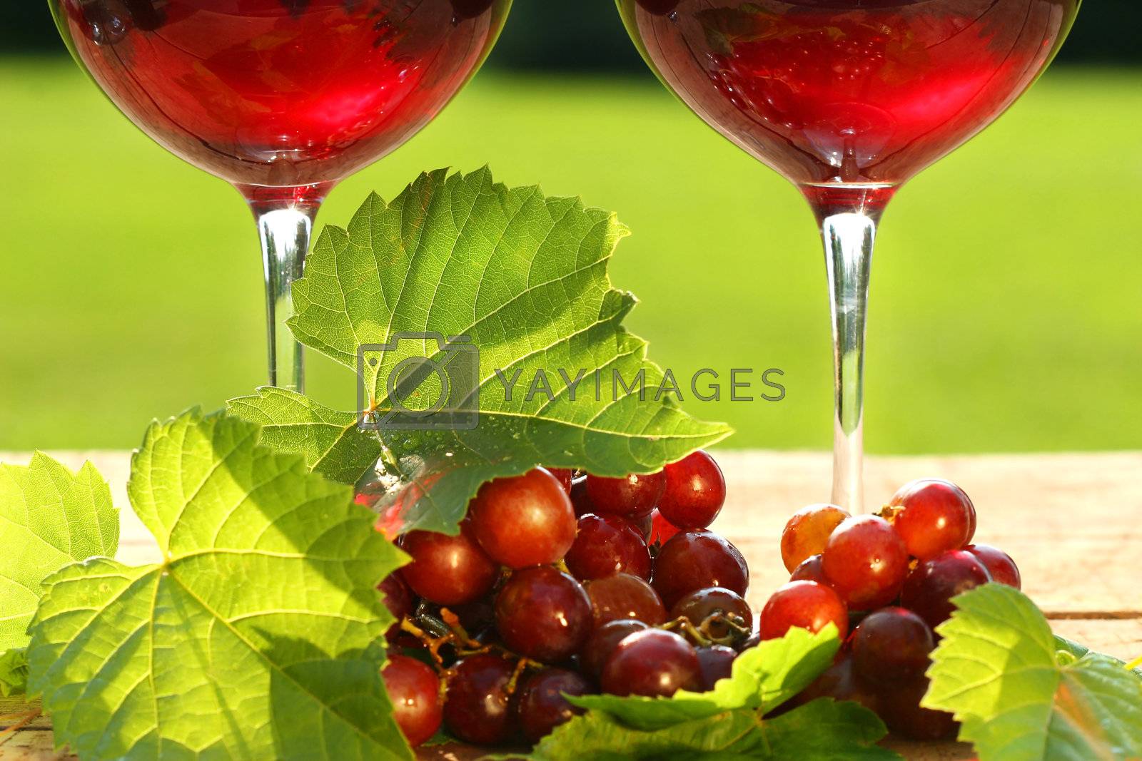 Royalty free image of   Glasses of  red wine on a table by Sandralise