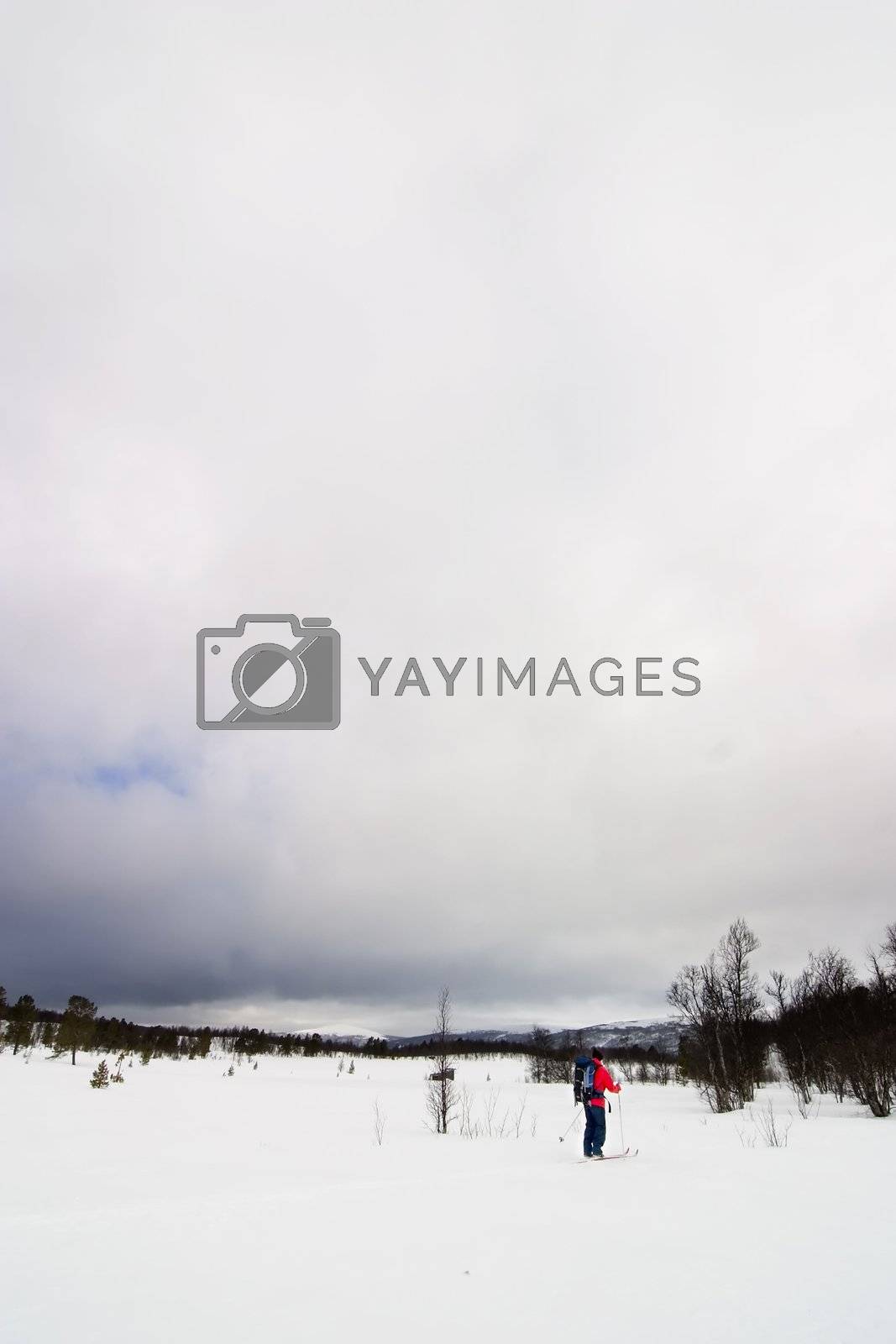 Royalty free image of Skiing in Winter by leaf