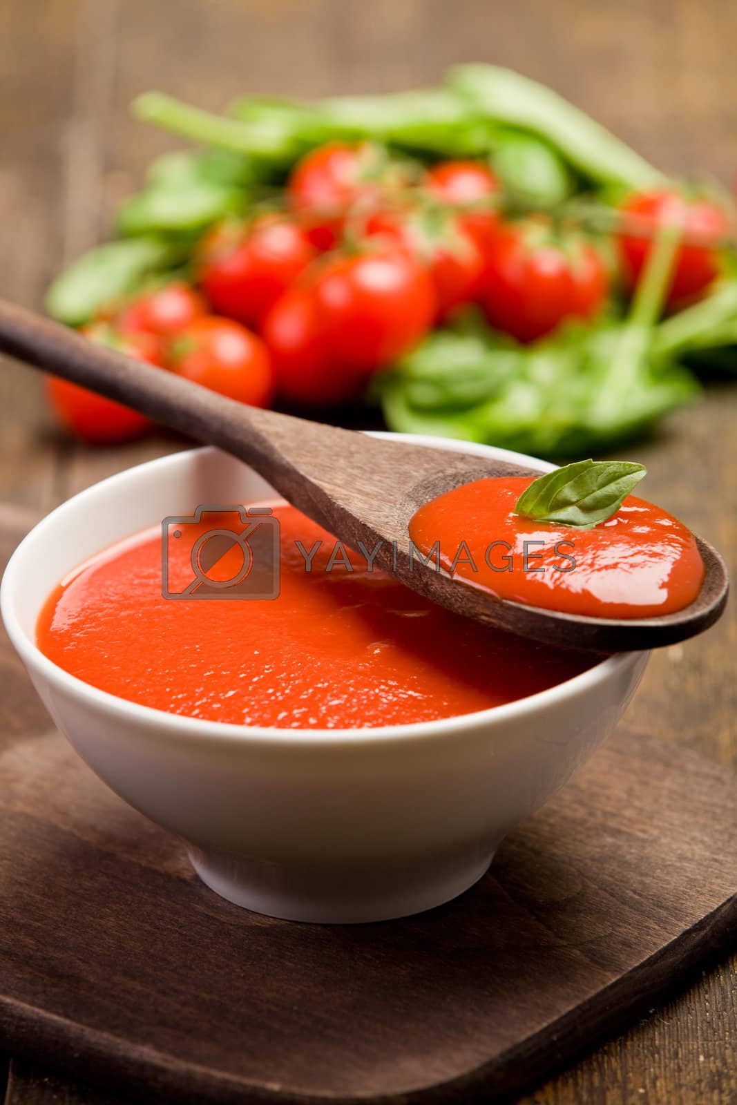 Royalty free image of Tomato sauce by genious2000de