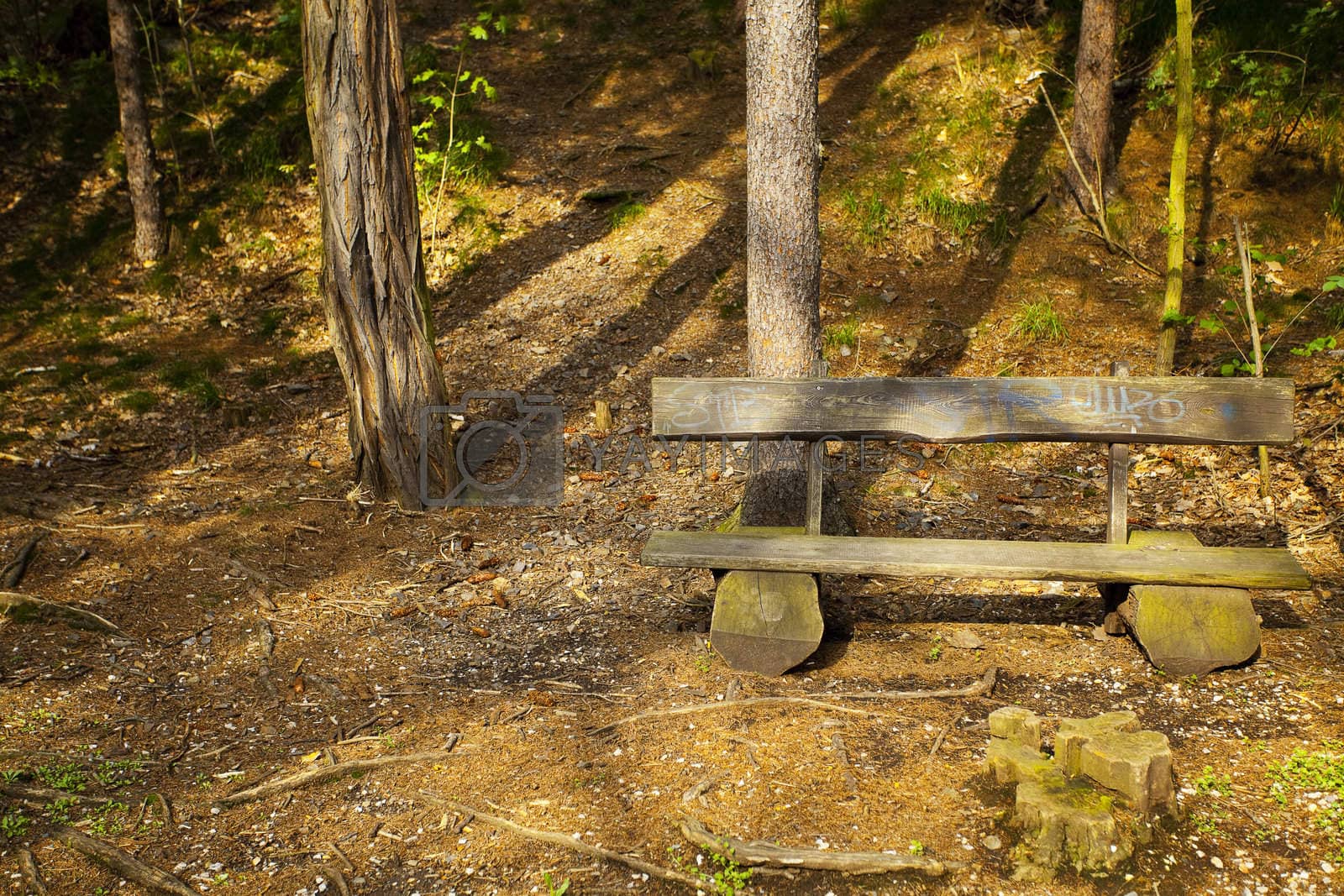Royalty free image of lone wooden bench in the woods by jannyjus