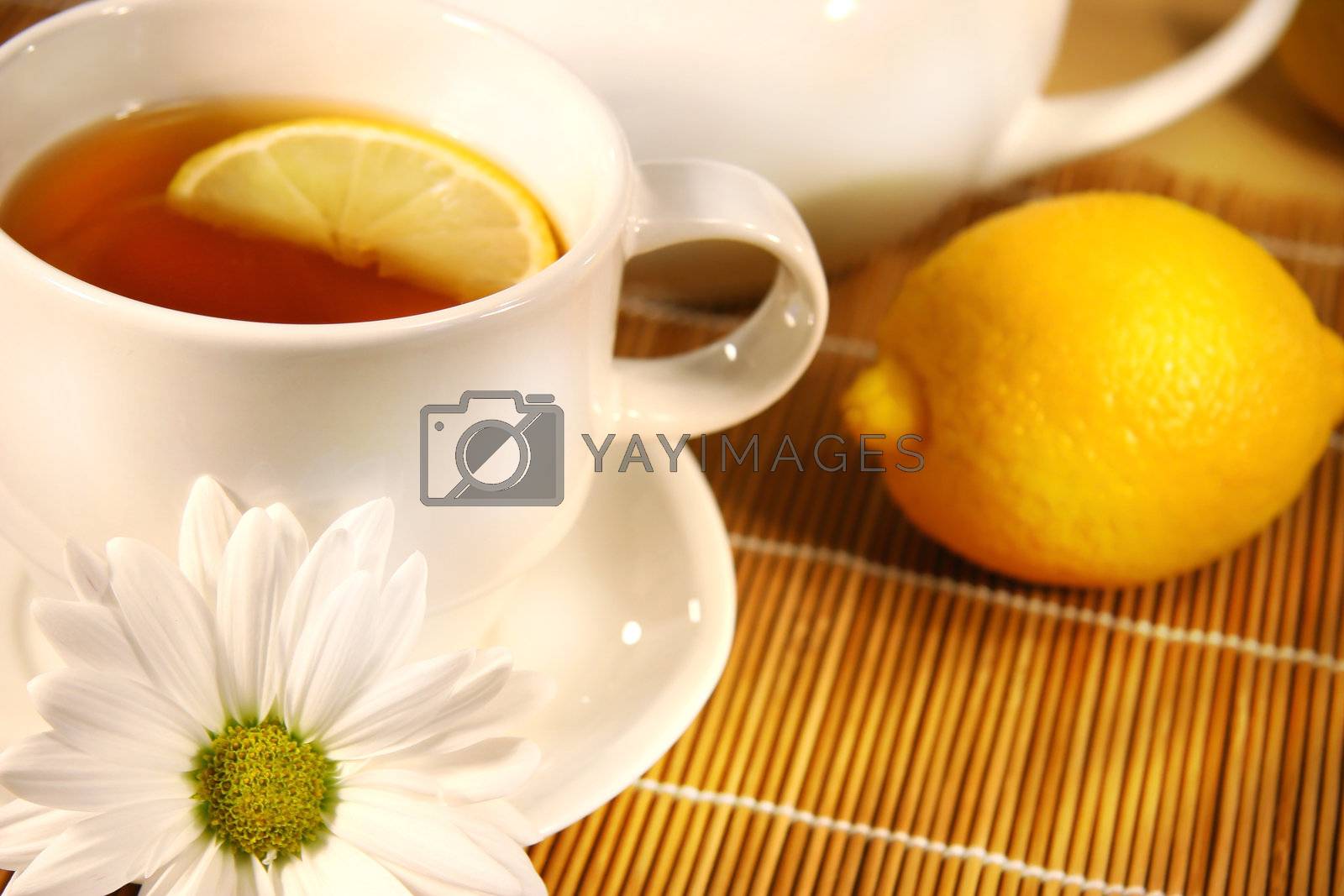 Royalty free image of Tea and lemon slice by Sandralise