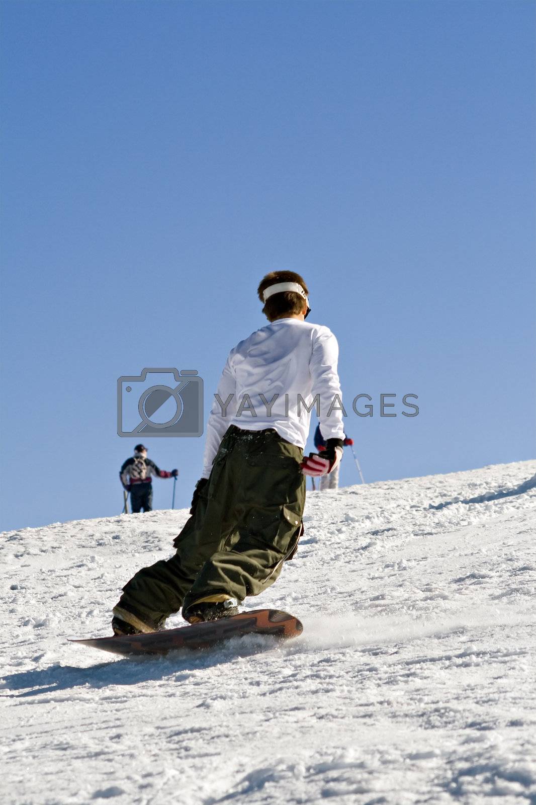 Royalty free image of Snowboard by PauloResende