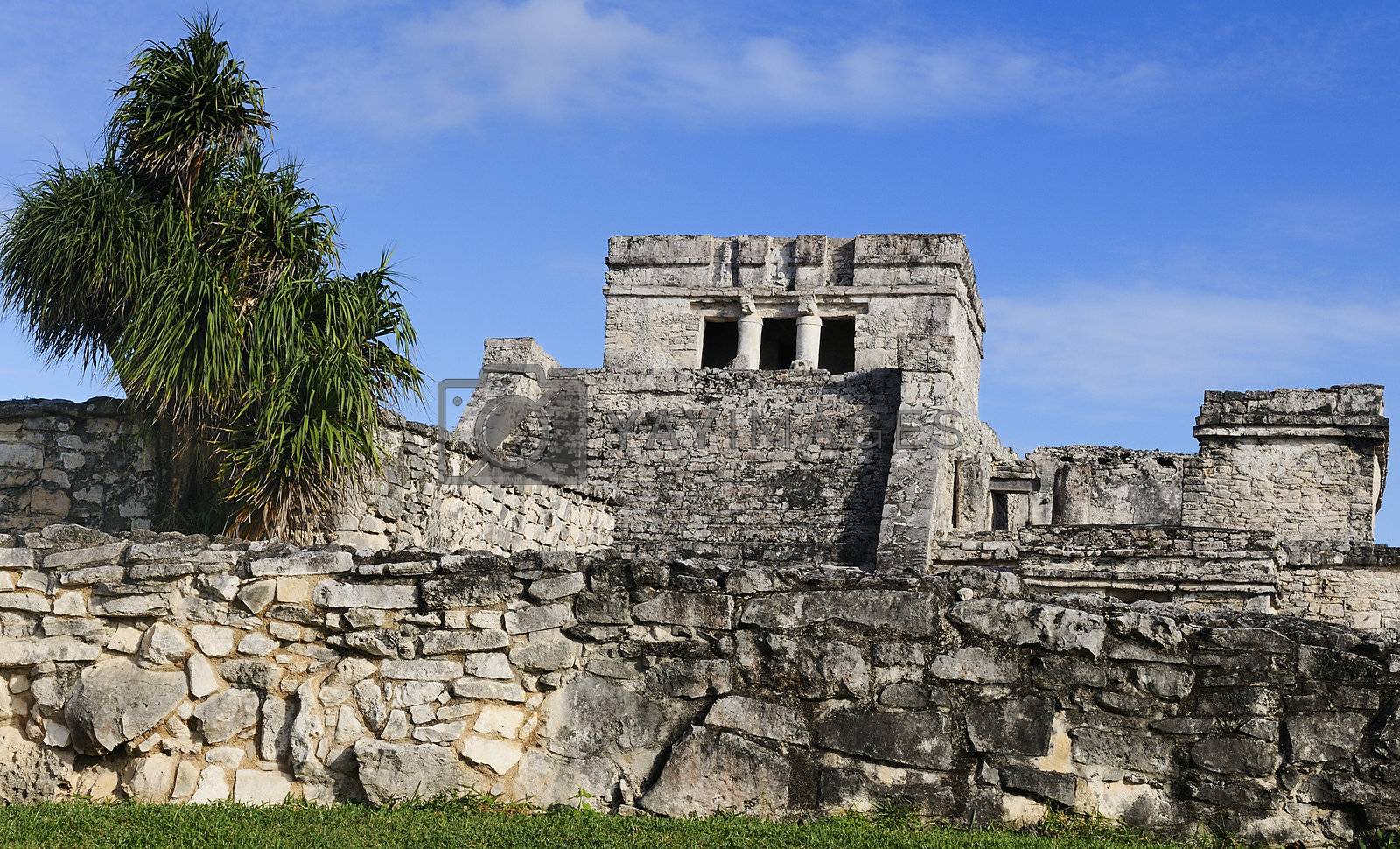 Royalty free image of Mayan ruins of Tulum Mexico by ventdusud