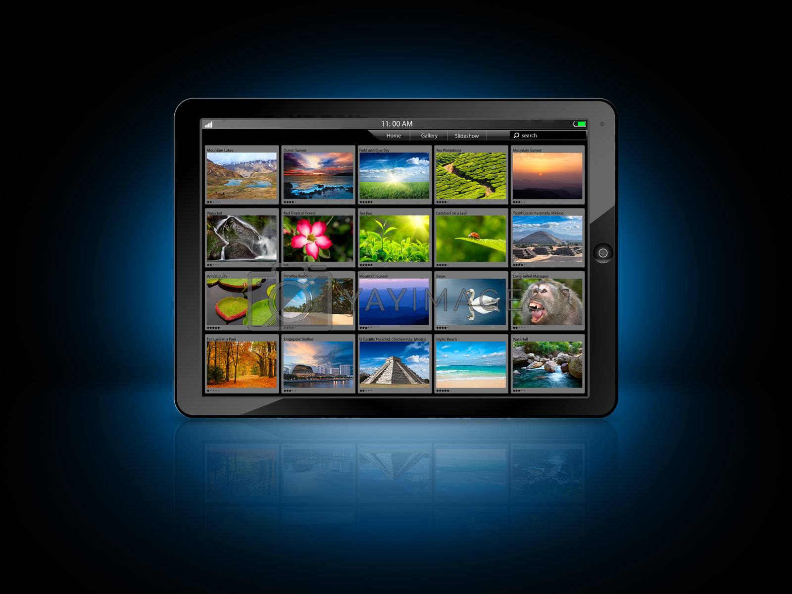 Royalty free image of Tablet PC by dimol
