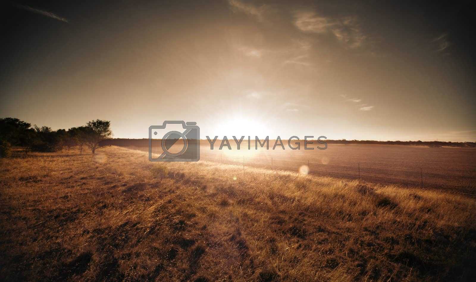 Royalty free image of Stunning Rural Sunset by kwest