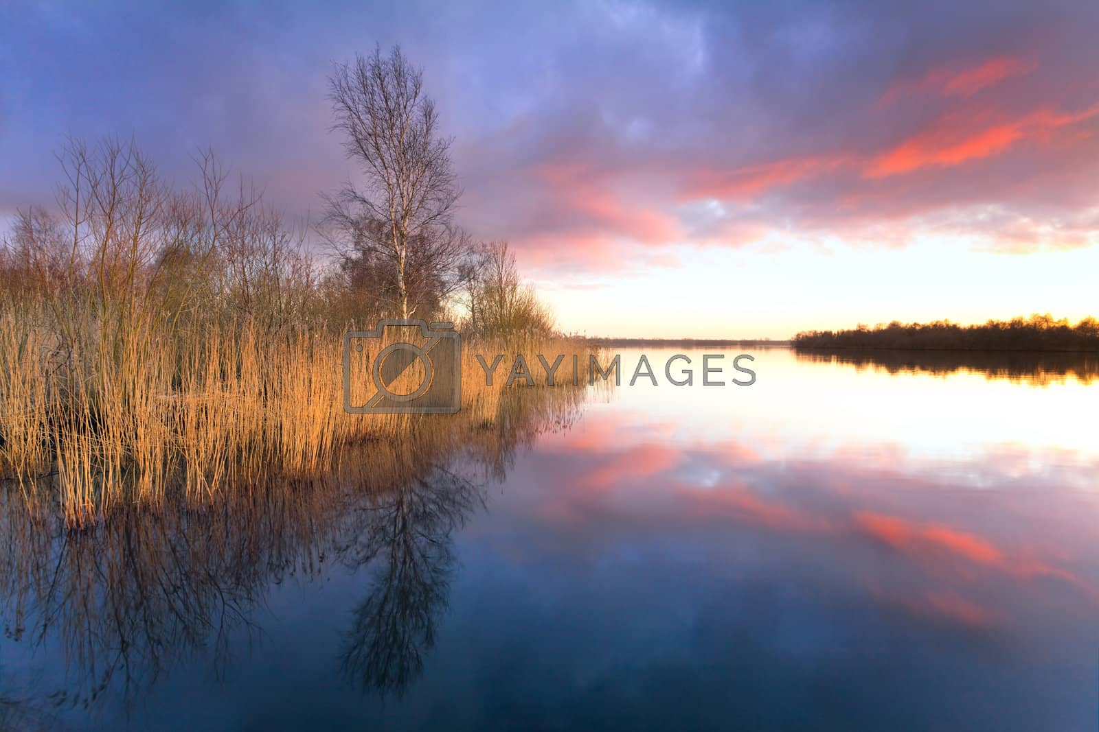 Royalty free image of sunset on the lake by catolla