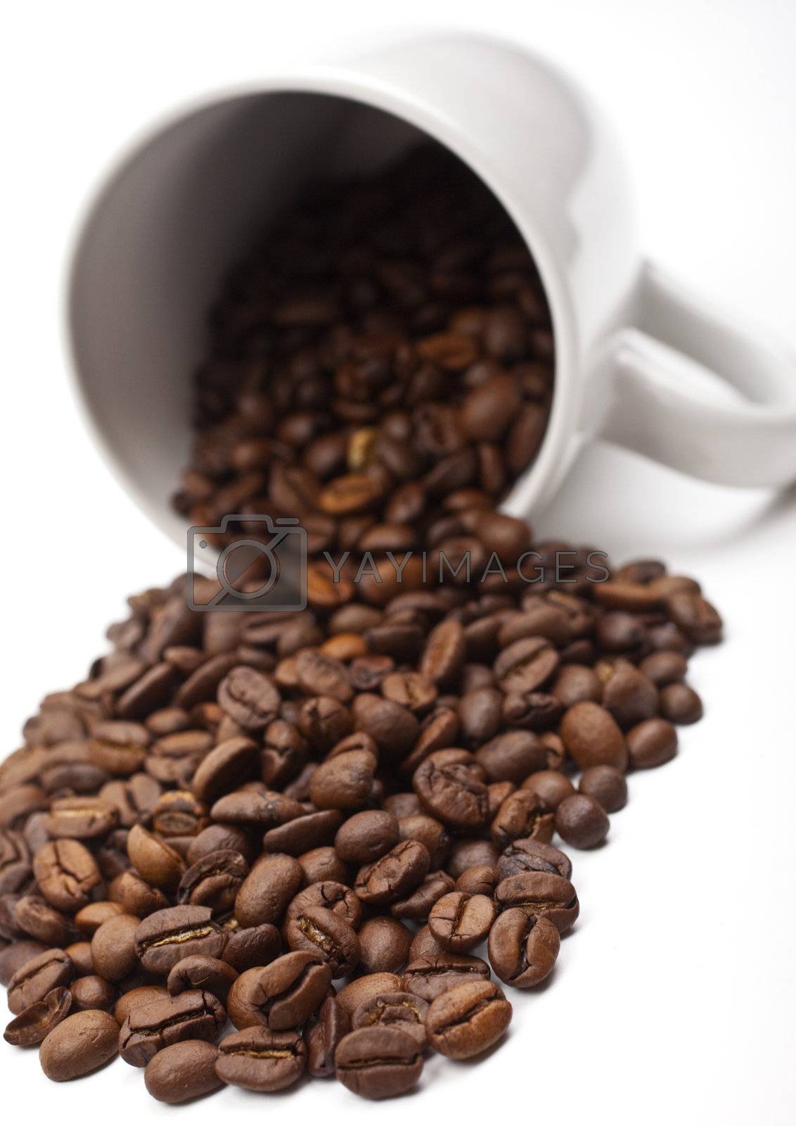 Royalty free image of Coffee Beans and Mug by chrisdorney