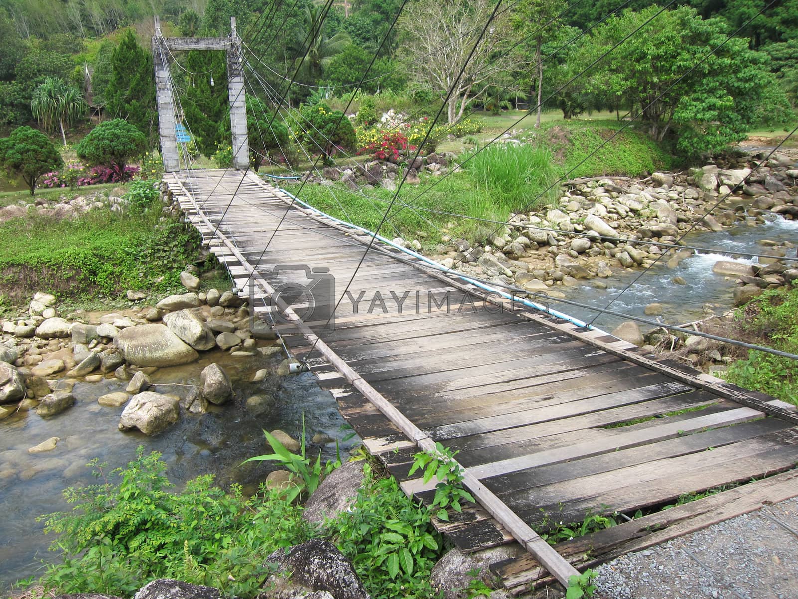 Royalty free image of wood bridge to the jungle by tony4urban