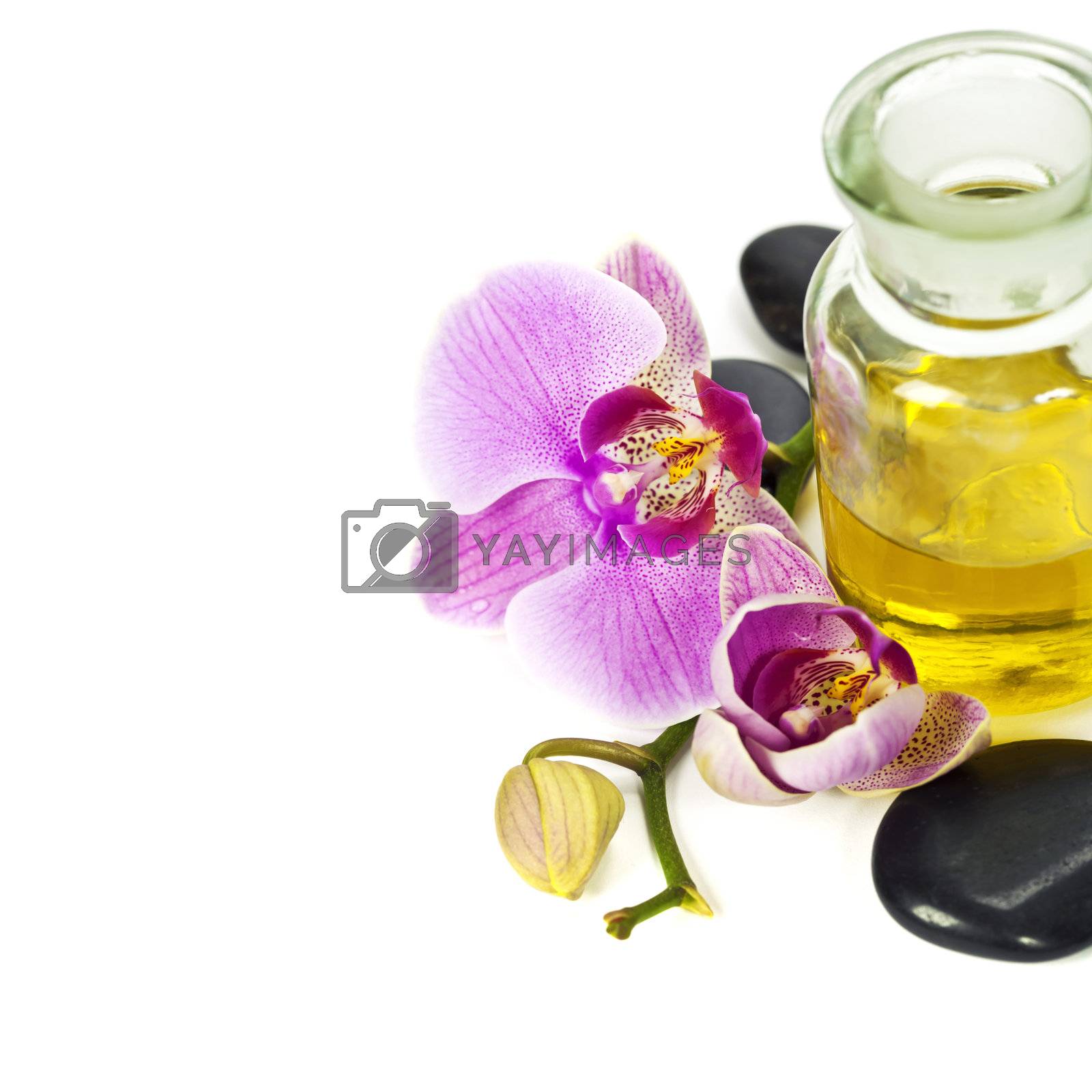 Orchid Spa Composition- Spa and healthcare concept